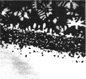 качество паяного соединения